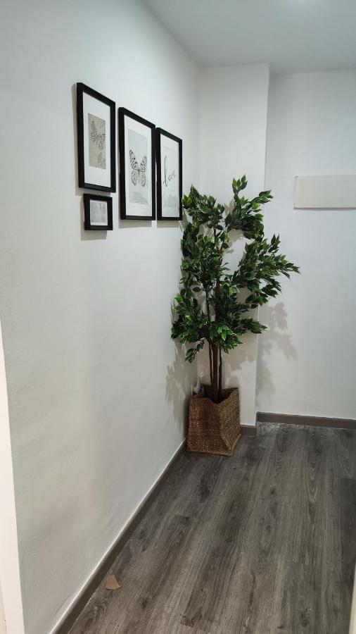 Boutique 2 Apartamento Ave Centro Лерида Экстерьер фото